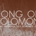 song of solomon series image