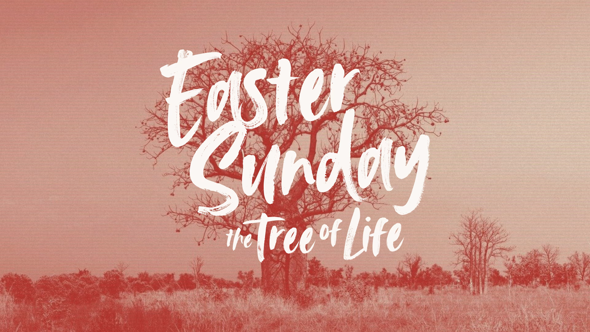 Resurrection Tree